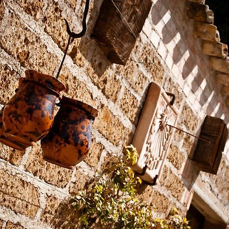Country House La Cipolla D'Oro Potenza Picena Luaran gambar
